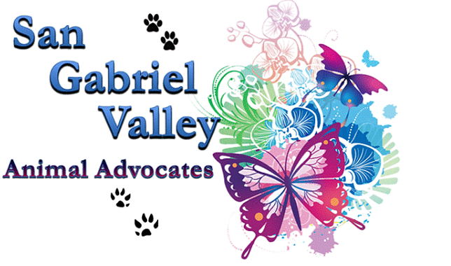 SGV Animal Advocates