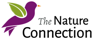 The Nature Connection
