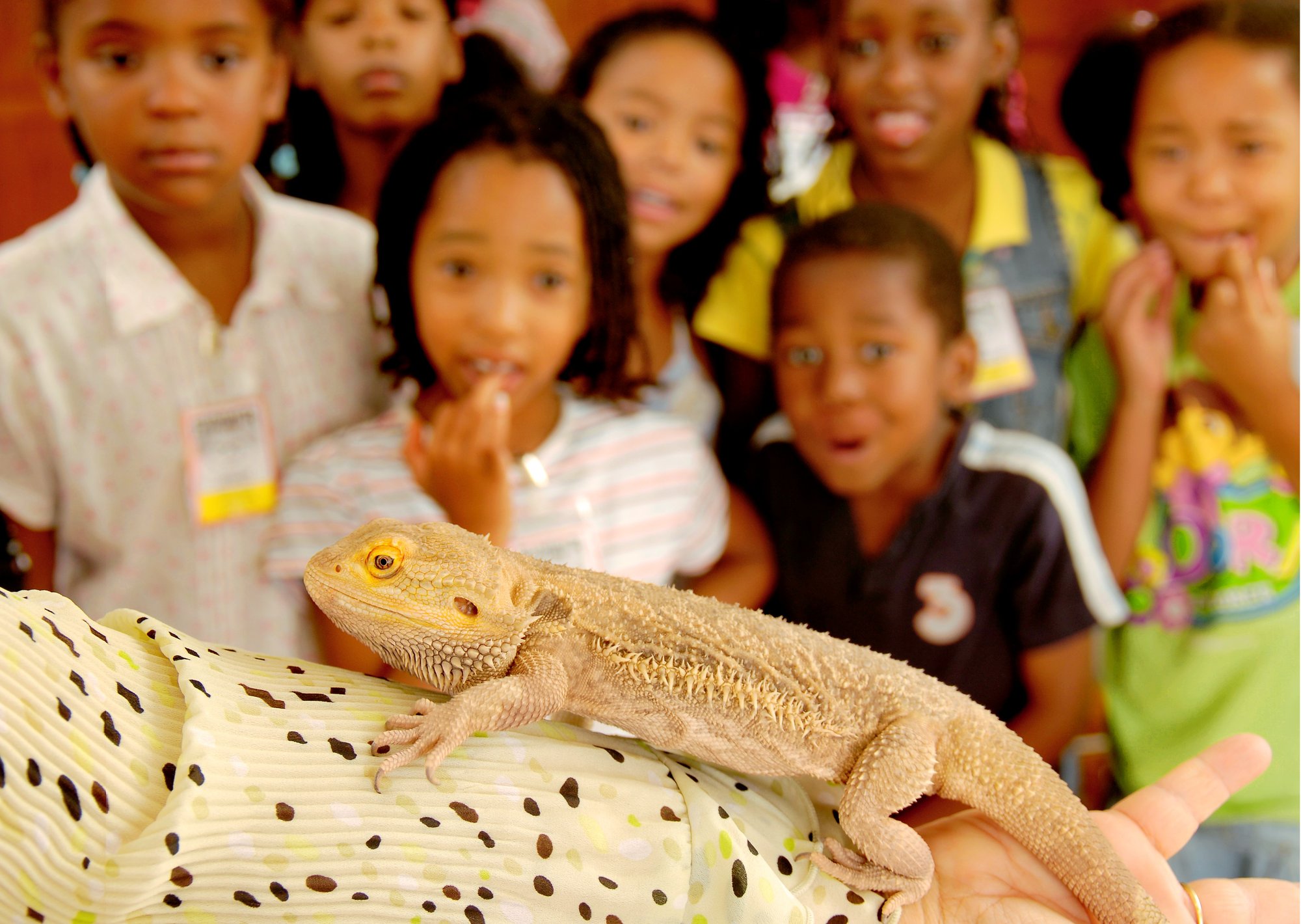 Lizard-and-Kids